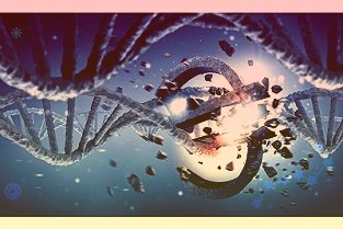 大灣區(qū)首個光儲充檢放一體化智能超充站正式投運(yùn)
